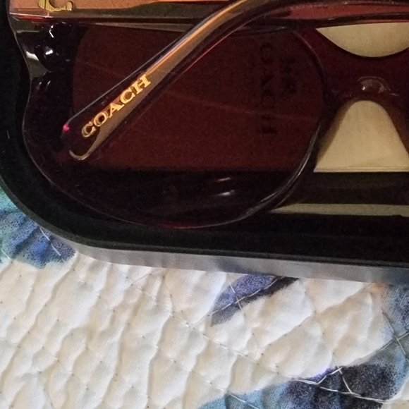 Coach Butterfly Sunglasses - HC8307U - Picture 10 of 14